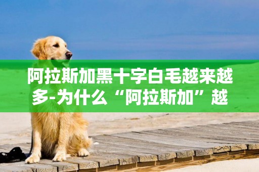 阿拉斯加黑十字白毛越來越多-為什么“阿拉斯加”越來越少人養