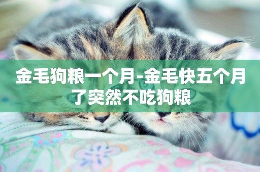 金毛狗糧一個月-金毛快五個月了突然不吃狗糧