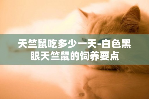 天竺鼠吃多少一天-白色黑眼天竺鼠的飼養要點