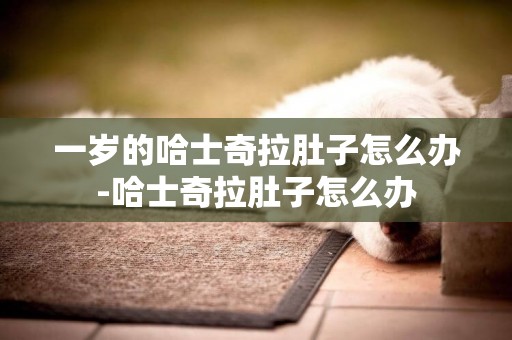 一歲的哈士奇拉肚子怎么辦-哈士奇拉肚子怎么辦