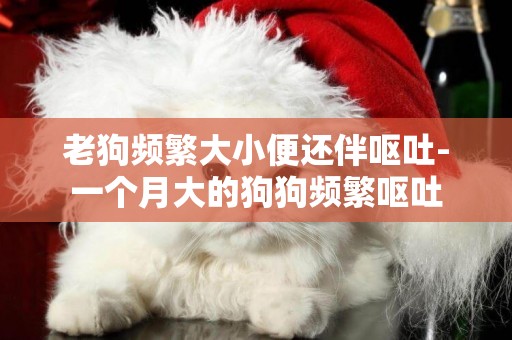 老狗頻繁大小便還伴嘔吐-一個月大的狗狗頻繁嘔吐