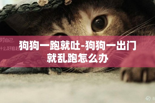 狗狗一跑就吐-狗狗一出門就亂跑怎么辦