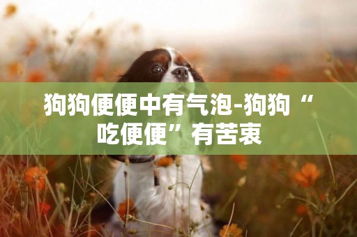 狗狗便便中有氣泡-狗狗“吃便便”有苦衷