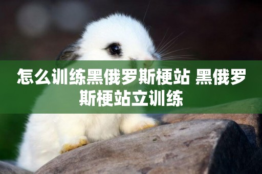 怎么訓練黑俄羅斯梗站 黑俄羅斯梗站立訓練