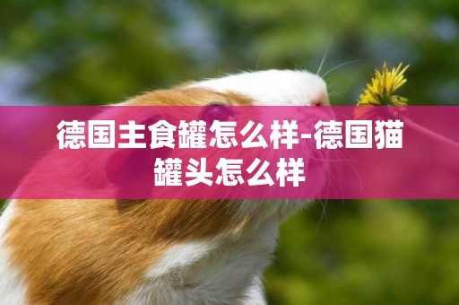 德國主食罐怎么樣-德國貓罐頭怎么樣