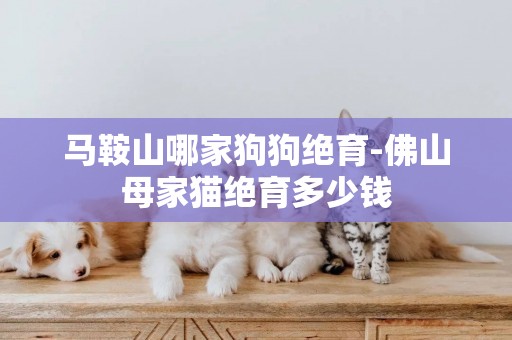 馬鞍山哪家狗狗絕育-佛山母家貓絕育多少錢