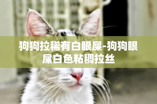 狗狗拉稀有白眼屎-狗狗眼屎白色粘稠拉絲