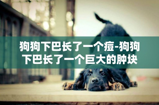 狗狗下巴長了一個痘-狗狗下巴長了一個巨大的腫塊