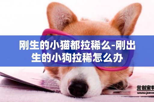 剛生的小貓都拉稀么-剛出生的小狗拉稀怎么辦