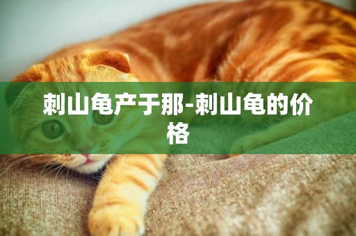 刺山龜產于那-刺山龜的價格