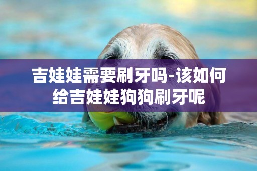 吉娃娃需要刷牙嗎-該如何給吉娃娃狗狗刷牙呢