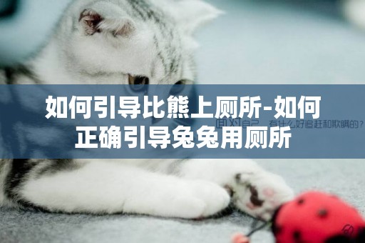 如何引導比熊上廁所-如何正確引導兔兔用廁所