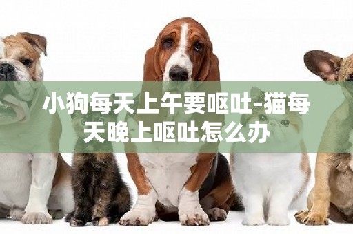 小狗每天上午要嘔吐-貓每天晚上嘔吐怎么辦