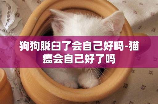 狗狗脫臼了會自己好嗎-貓瘟會自己好了嗎