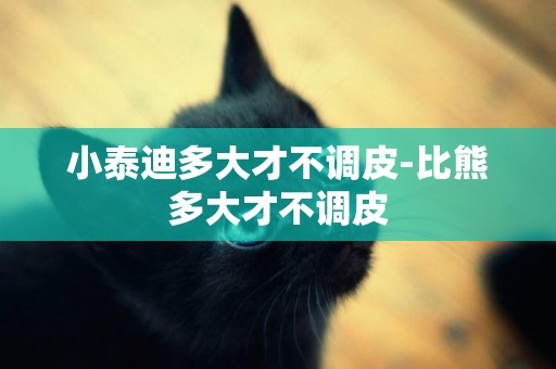 小泰迪多大才不調皮-比熊多大才不調皮