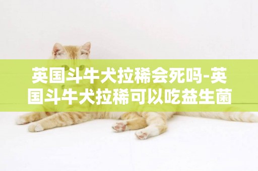 英國斗牛犬拉稀會死嗎-英國斗牛犬拉稀可以吃益生菌嗎