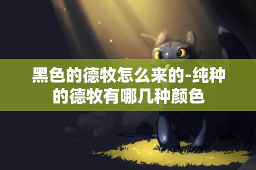 黑色的德牧怎么來的-純種的德牧有哪幾種顏色