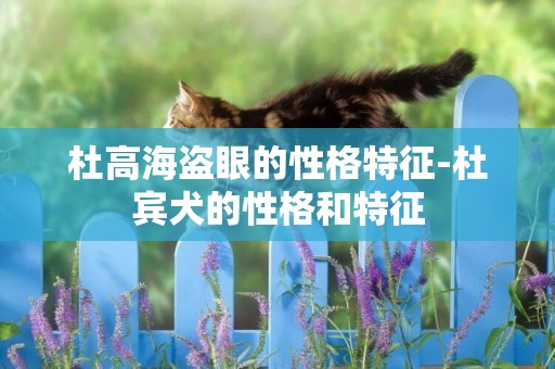杜高海盜眼的性格特征-杜賓犬的性格和特征