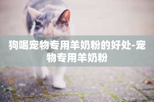 狗喝寵物專用羊奶粉的好處-寵物專用羊奶粉