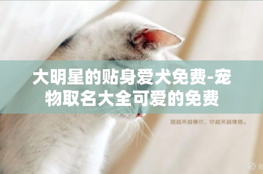 大明星的貼身愛犬免費-寵物取名大全可愛的免費