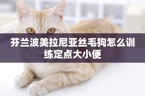芬蘭波美拉尼亞絲毛狗怎么訓練定點大小便