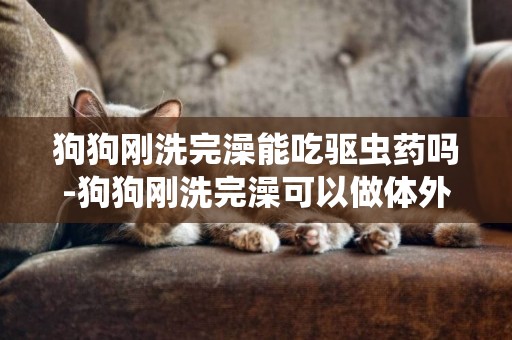 狗狗剛洗完澡能吃驅蟲藥嗎-狗狗剛洗完澡可以做體外驅蟲嗎