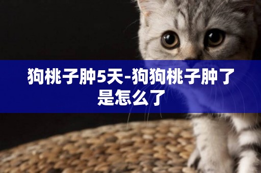 狗桃子腫5天-狗狗桃子腫了是怎么了