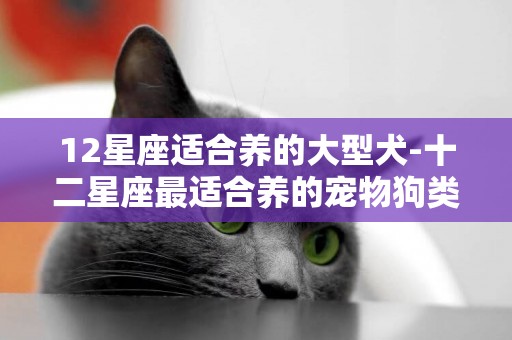 12星座適合養的大型犬-十二星座最適合養的寵物狗類型