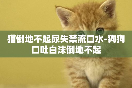 貓倒地不起尿失禁流口水-狗狗口吐白沫倒地不起