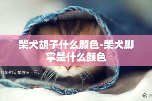 柴犬胡子什么顏色-柴犬腳掌是什么顏色