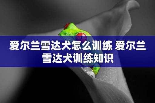 愛爾蘭雪達犬怎么訓練 愛爾蘭雪達犬訓練知識