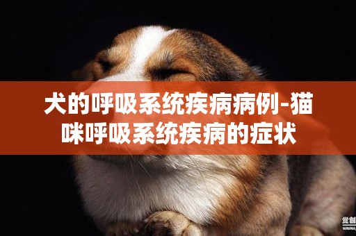 犬的呼吸系統疾病病例-貓咪呼吸系統疾病的癥狀