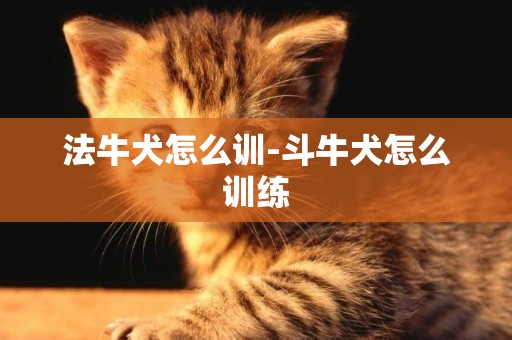 法牛犬怎么訓-斗牛犬怎么訓練