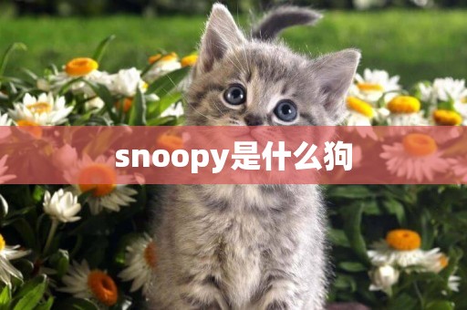 snoopy是什么狗
