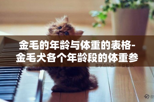 金毛的年齡與體重的表格-金毛犬各個年齡段的體重參照表