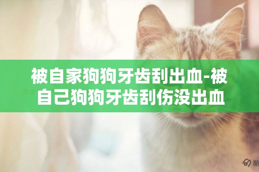 被自家狗狗牙齒刮出血-被自己狗狗牙齒刮傷沒出血