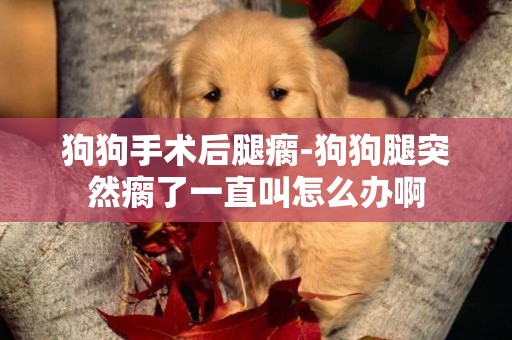 狗狗手術后腿瘸-狗狗腿突然瘸了一直叫怎么辦啊