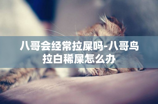 八哥會經常拉屎嗎-八哥鳥拉白稀屎怎么辦