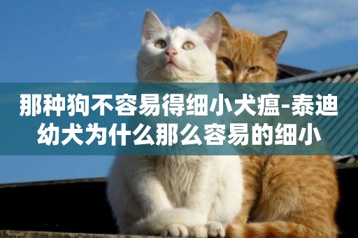 那種狗不容易得細小犬瘟-泰迪幼犬為什么那么容易的細小