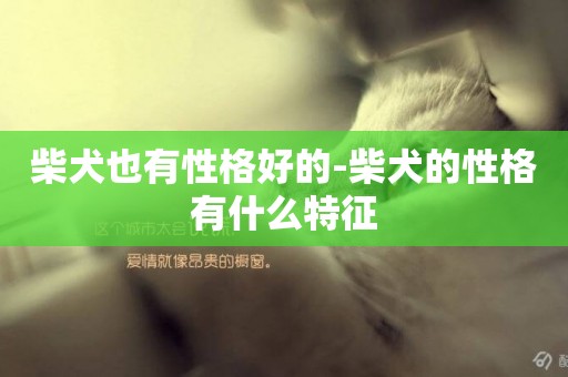 柴犬也有性格好的-柴犬的性格有什么特征