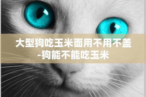 大型狗吃玉米面用不用不蓋-狗能不能吃玉米