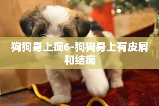 狗狗身上痂6-狗狗身上有皮屑和結痂