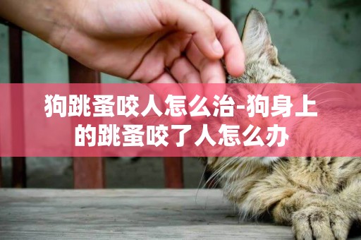 狗跳蚤咬人怎么治-狗身上的跳蚤咬了人怎么辦