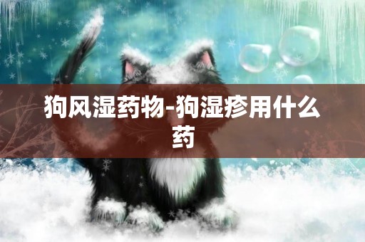 狗風濕藥物-狗濕疹用什么藥