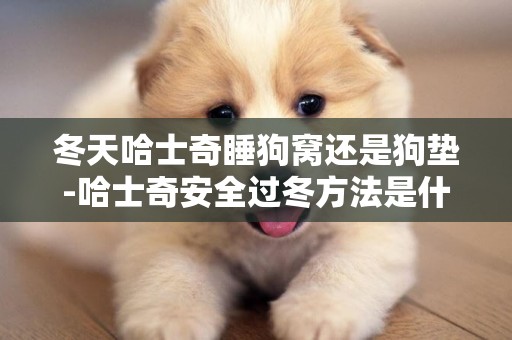冬天哈士奇睡狗窩還是狗墊-哈士奇安全過冬方法是什么