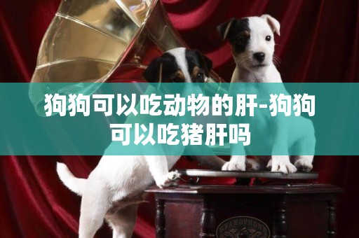 狗狗可以吃動物的肝-狗狗可以吃豬肝嗎