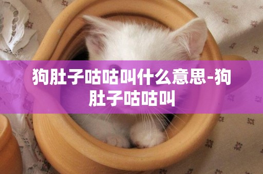 狗肚子咕咕叫什么意思-狗肚子咕咕叫