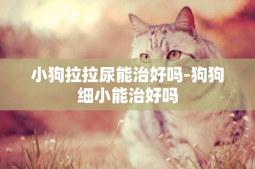 小狗拉拉尿能治好嗎-狗狗細小能治好嗎