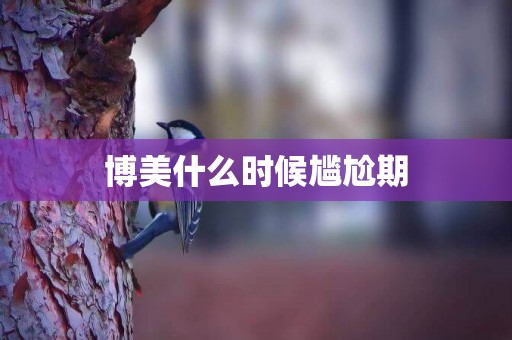 博美什么時候尷尬期