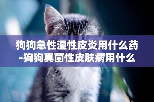 狗狗急性濕性皮炎用什么藥-狗狗真菌性皮膚病用什么藥